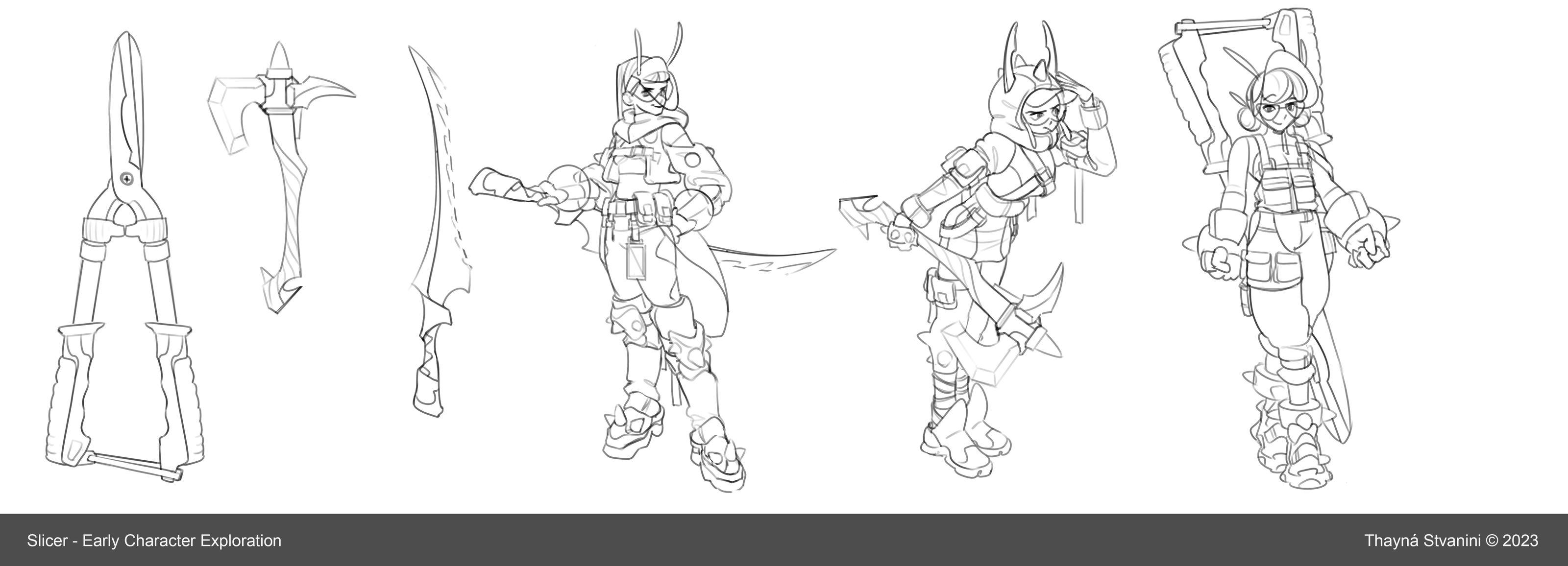 slicer_early_exploration